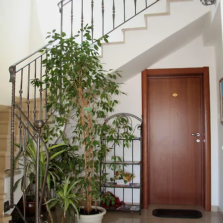 Apartman Alegria Cavtat
