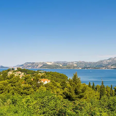 Alegria * Cavtat