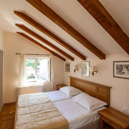 Alegria * קאבטאט