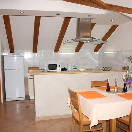 Alegria * קאבטאט